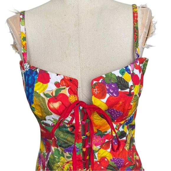 Tyler McGillivary Fruit Sticker Corset in Fruit Stickers Print Medium - Picture 5 of 14